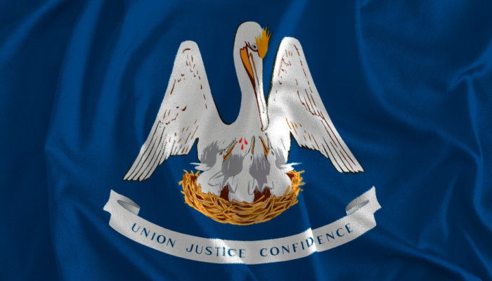 Louisiana flag